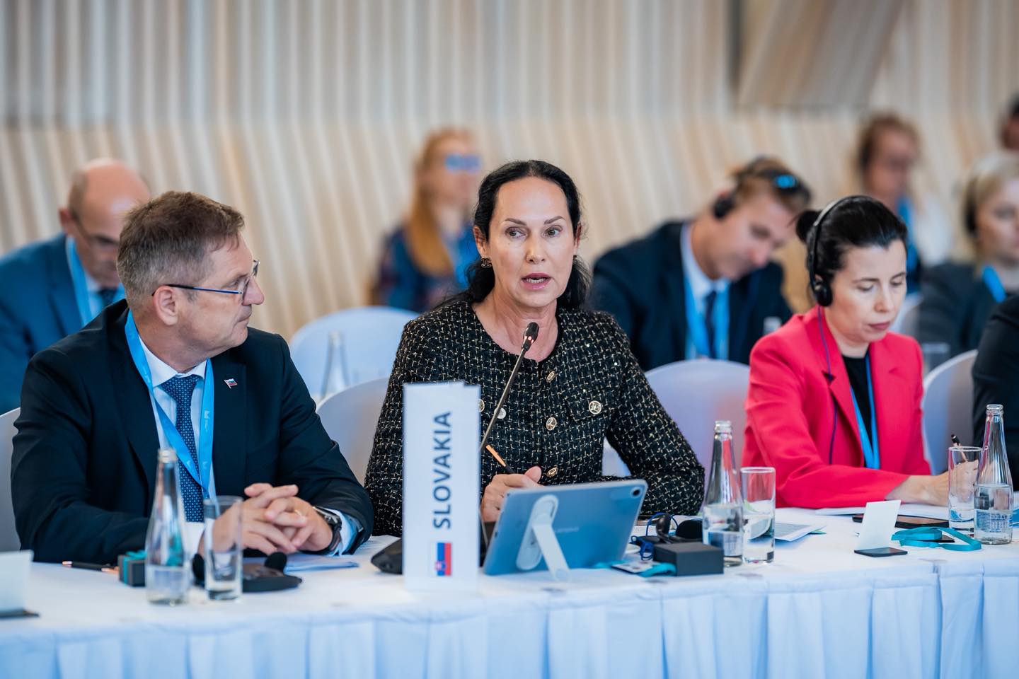 Salzburské fórum vo Valticiach 2025